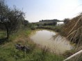 /album/panoramica-dell-azienda/a2101-041-jpg/